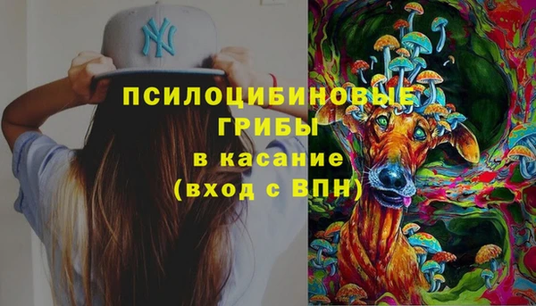 гидра Армянск