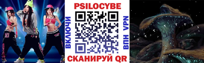 Галлюциногенные грибы MAGIC MUSHROOMS  купить закладку  Богородск 